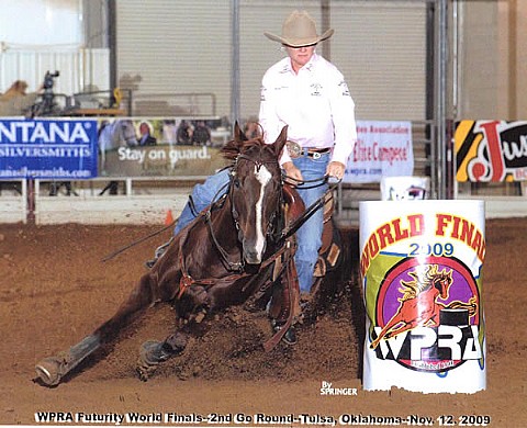 6&nbsp;year old&nbsp;Mare                