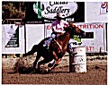6&nbsp;year old&nbsp;Mare