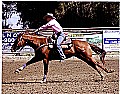 6&nbsp;year old&nbsp;Mare