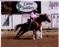 6&nbsp;year old&nbsp;Mare