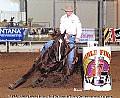 6&nbsp;year old&nbsp;Mare