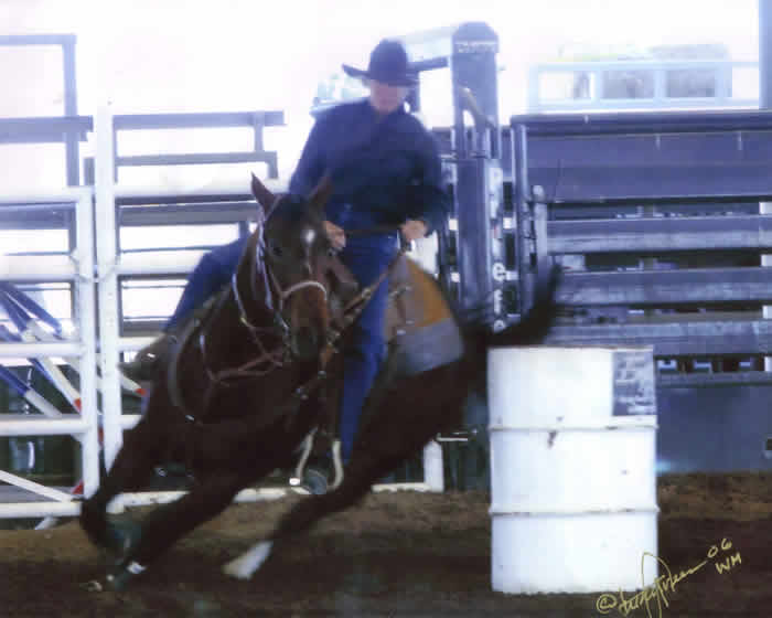 JW She Daisy- Stairs Ranch Broodmare