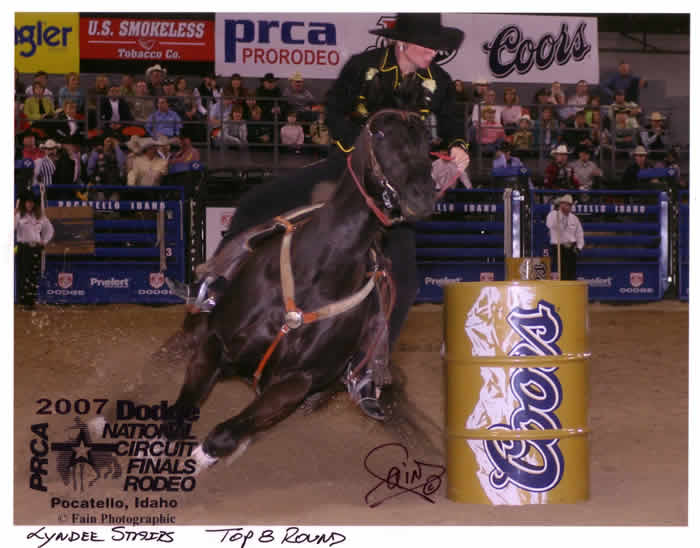 whitehorses cant jump barrel racing mare